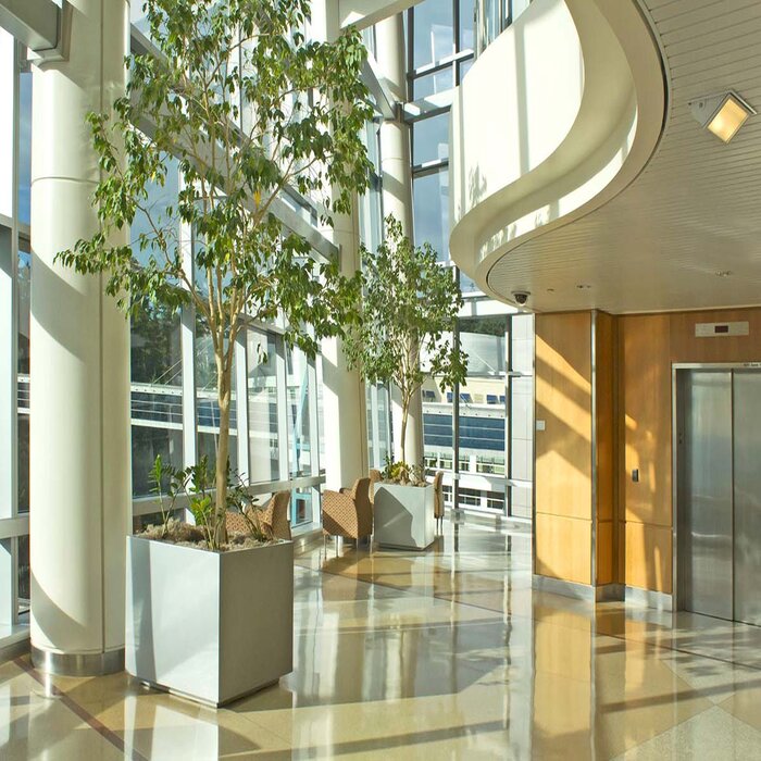 Commercial Carpet Cleaning Image